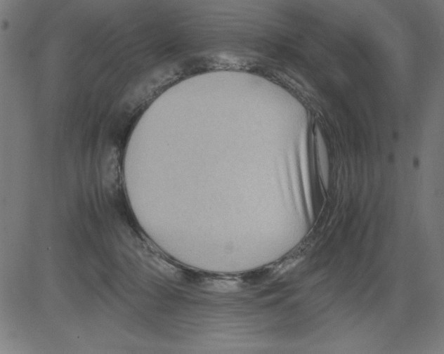 X0000081450318200702092256
