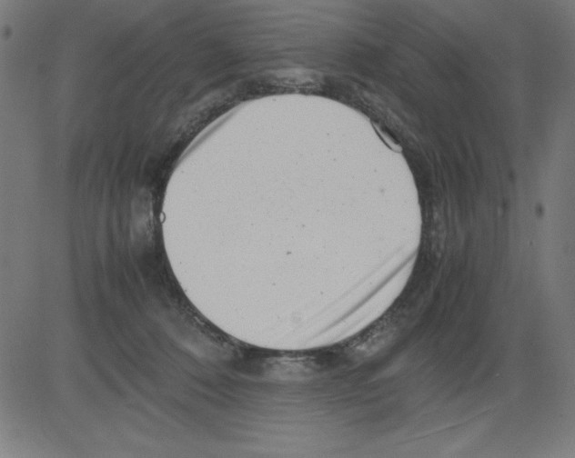 X0000081450320200702092256