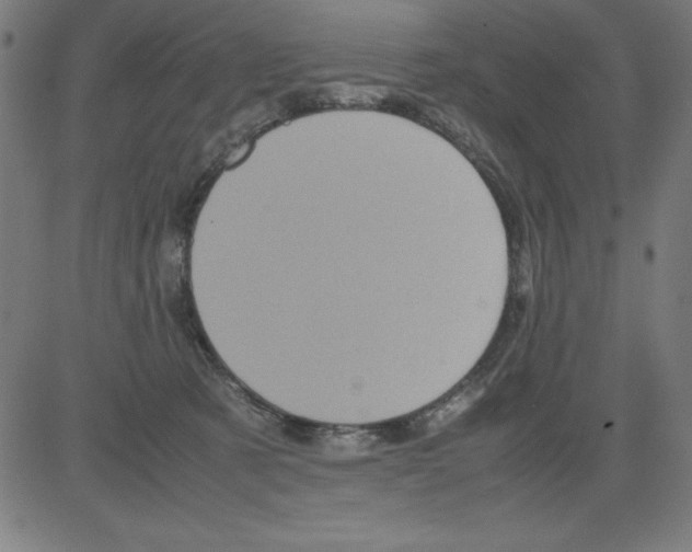 X0000081450321200702092256