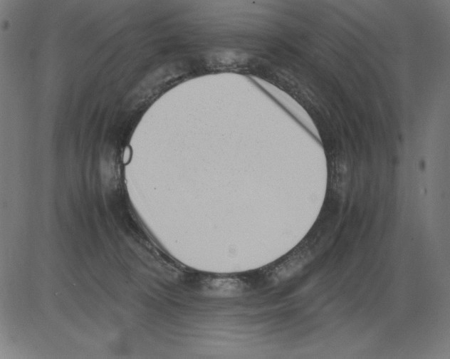 X0000081450324200702092256