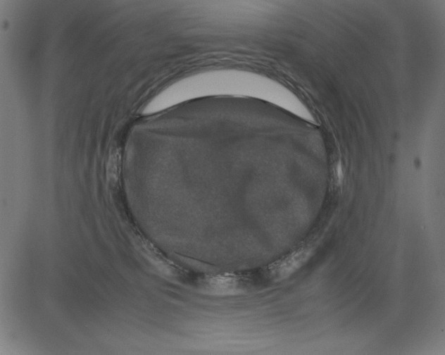 X0000081450325200702092256