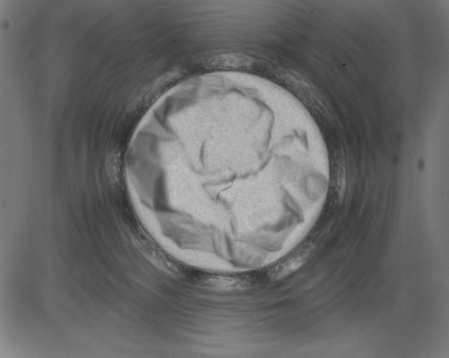 X0000081450326200702092256