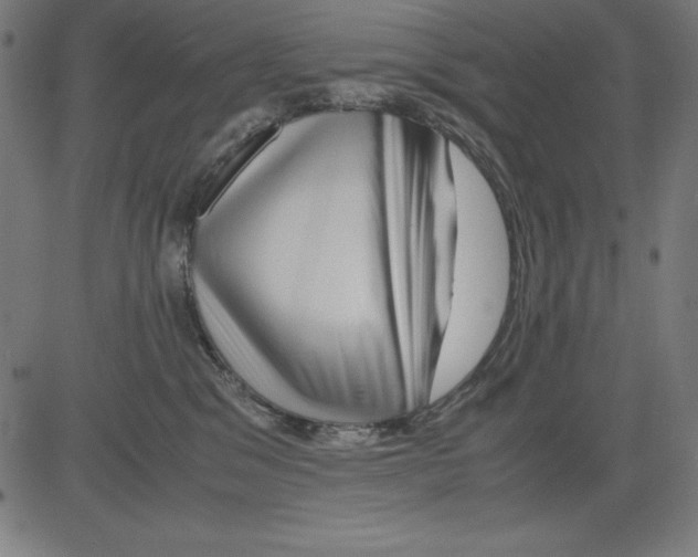 X0000081450329200702092256