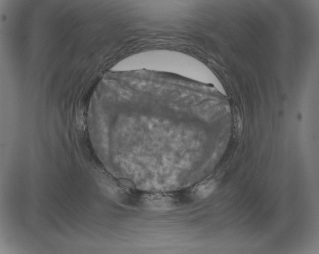 X0000081450331200702092256