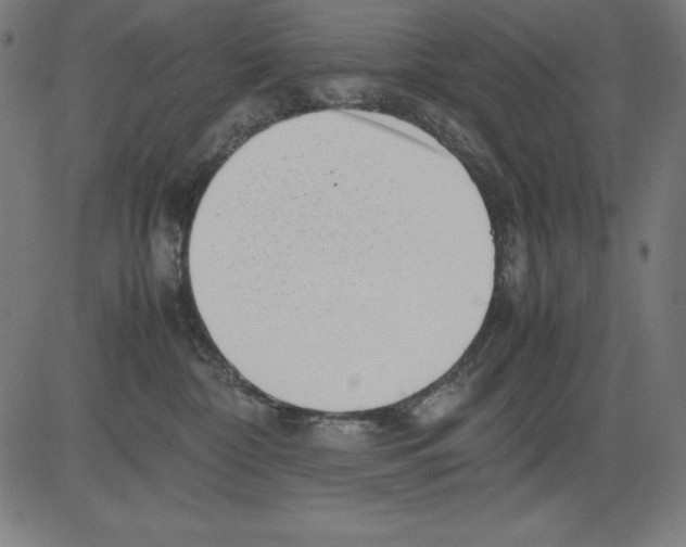 X0000081450332200702092256