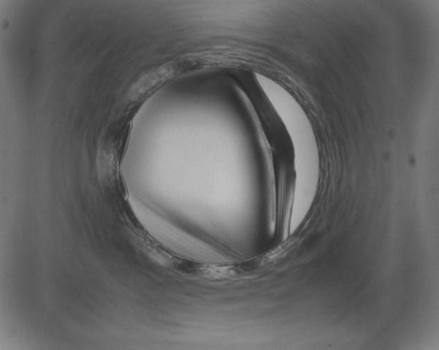 X0000081450333200702092256