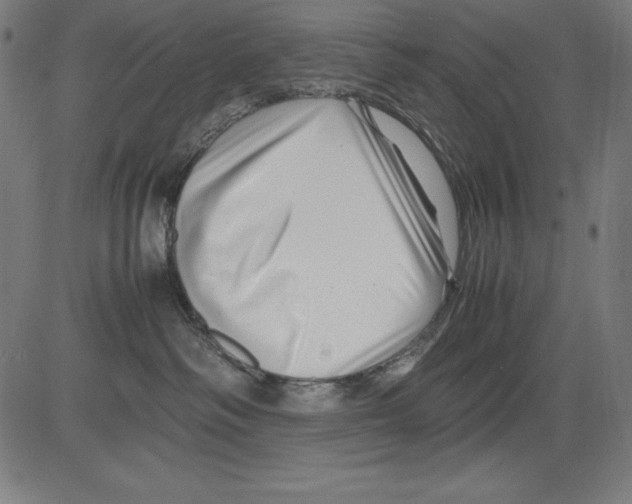 X0000081450334200702092256