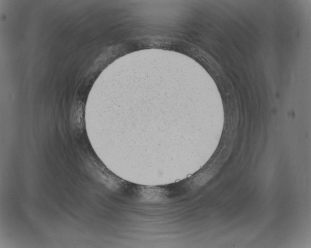 X0000081450336200702092256