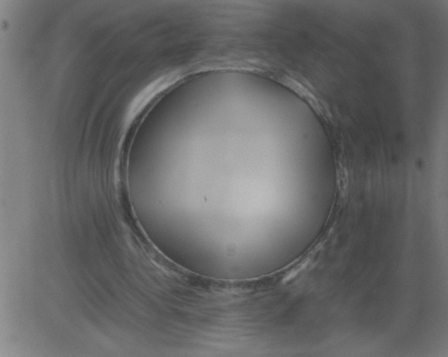 X0000081450340200702092255