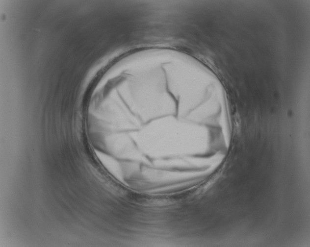 X0000081450342200702092255