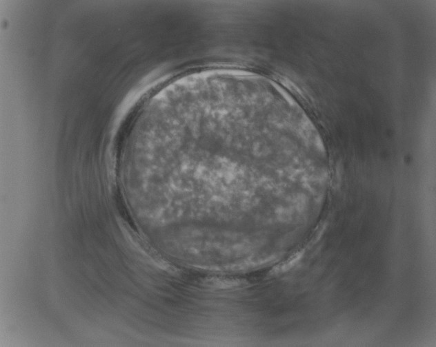 X0000081450343200702092255