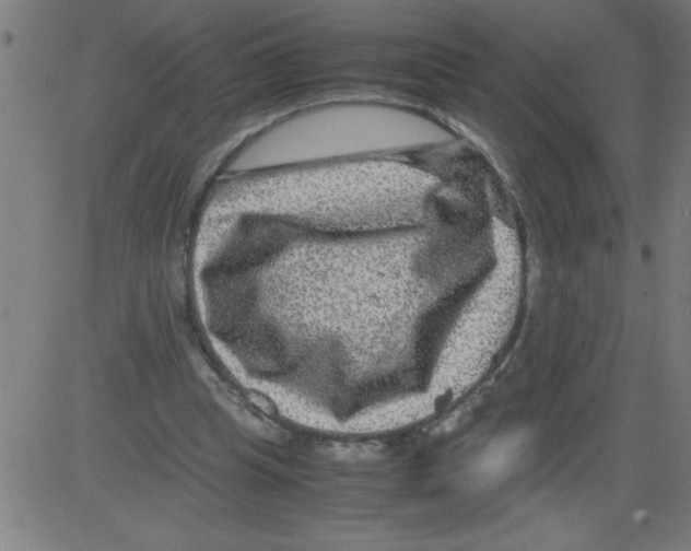 X0000081450345200702092255