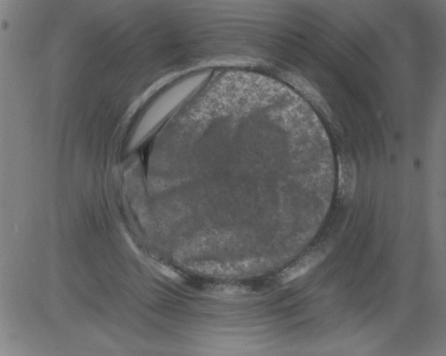 X0000081450348200702092255