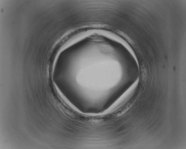 X0000081450350200702092255
