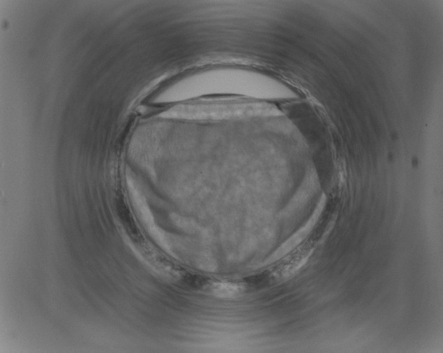 X0000081450352200702092255