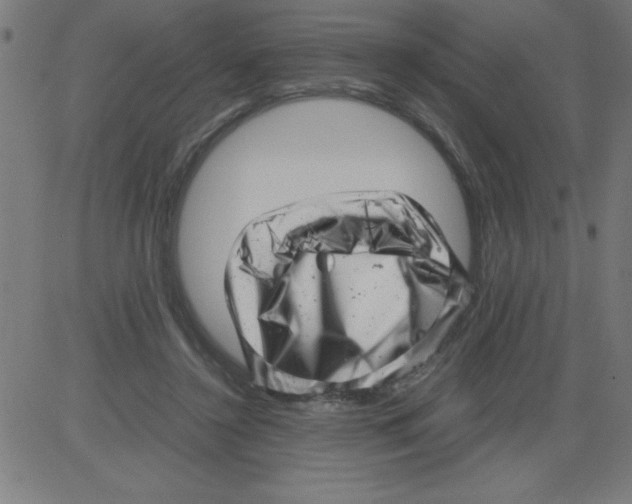 X0000081450356200702092255