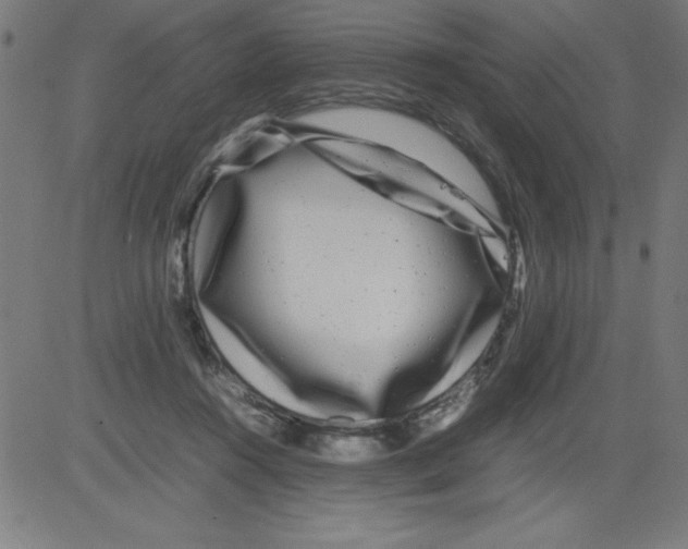 X0000081450360200702092255