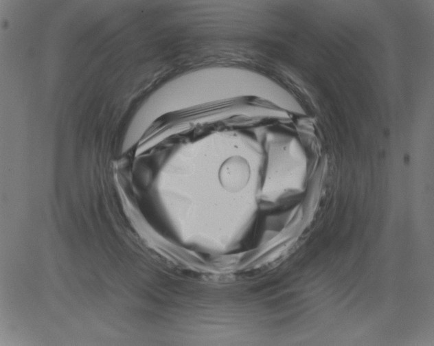 X0000081450362200702092255