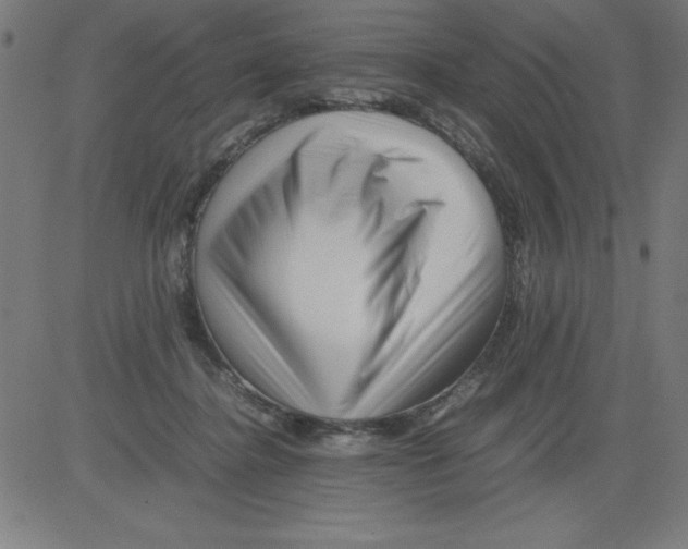 X0000081450364200702092255