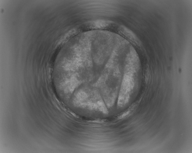 X0000081450366200702092255