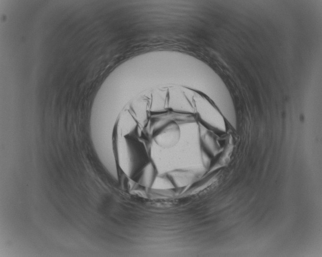 X0000081450368200702092255
