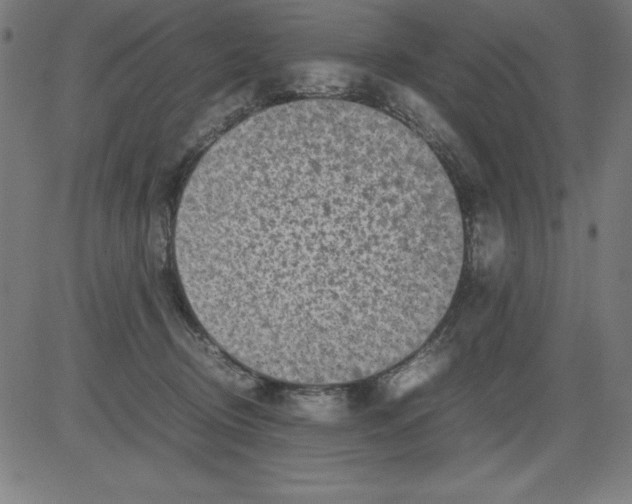 X0000081450370200702092256