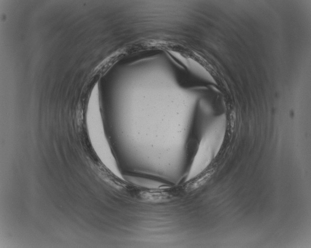 X0000081450372200702092256