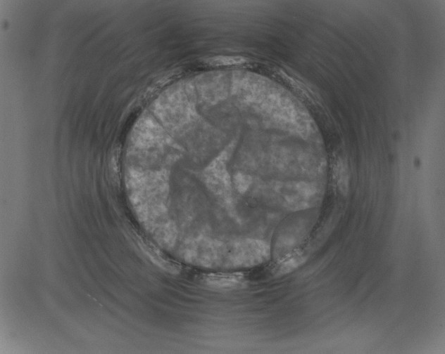 X0000081450373200702092256