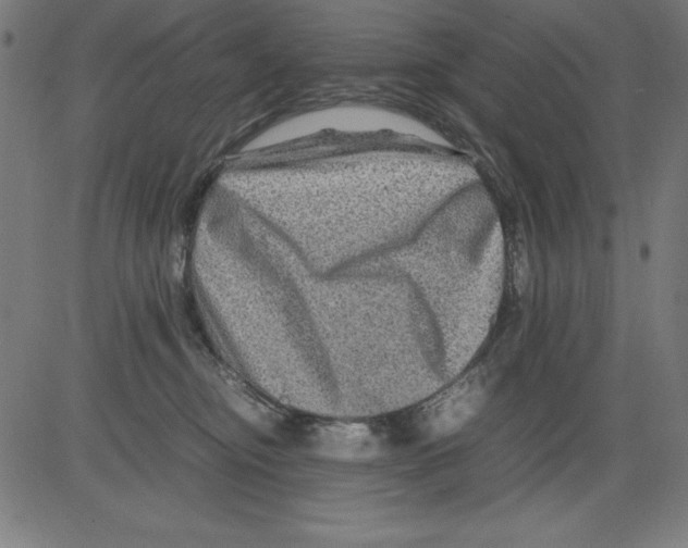 X0000081450374200702092256