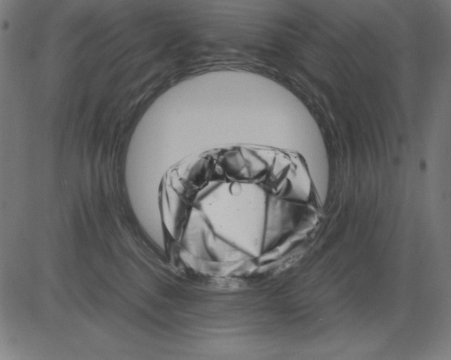 X0000081450376200702092256