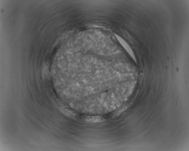 X0000081450377200702092256