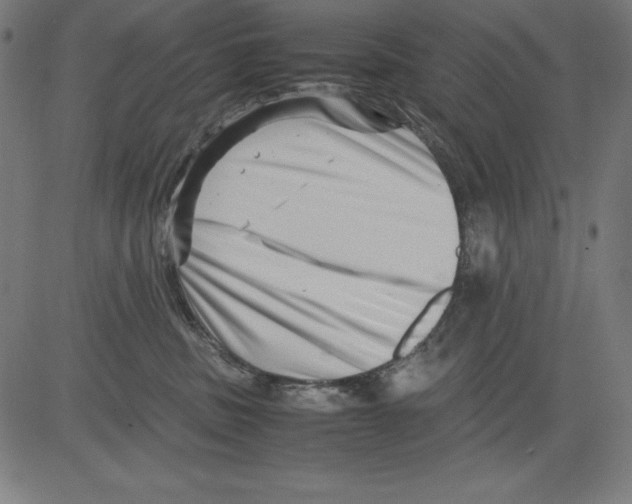 X0000081450379200702092256