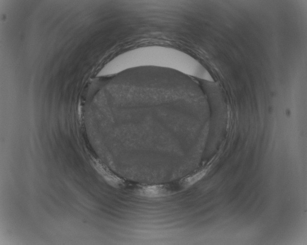 X0000081450382200702092256