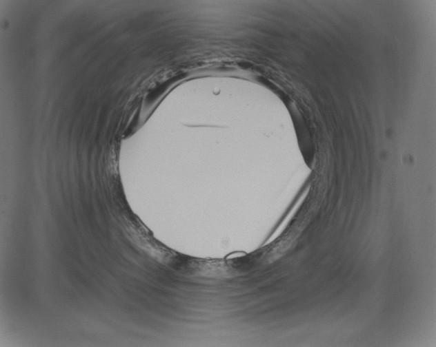 X0000081450384200702092256