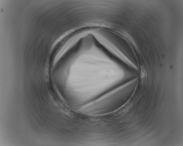 X0000081450388200702092255