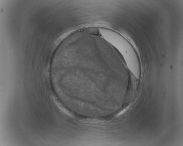 X0000081450389200702092255