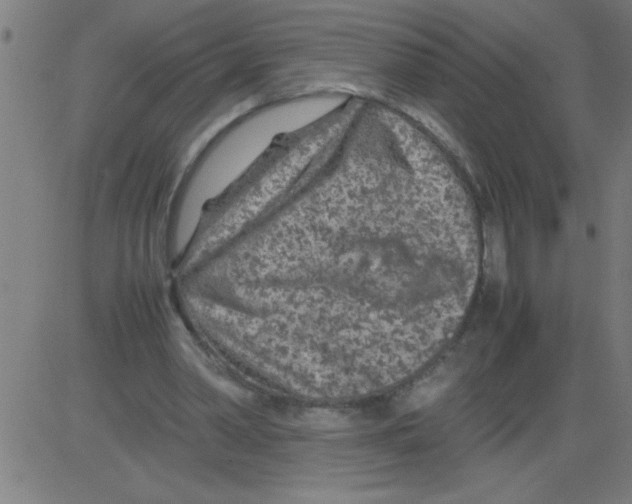 X0000081450390200702092255