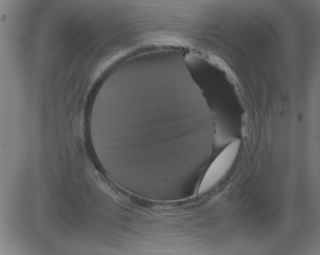 X0000081450391200702092255