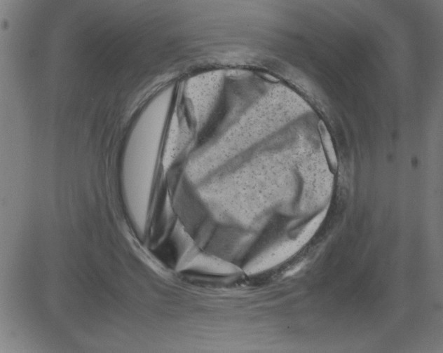 X0000081450397200702092255