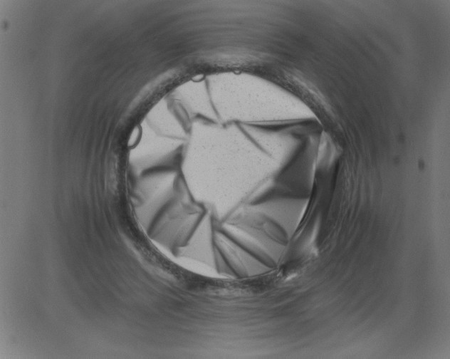 X0000081450400200702092255