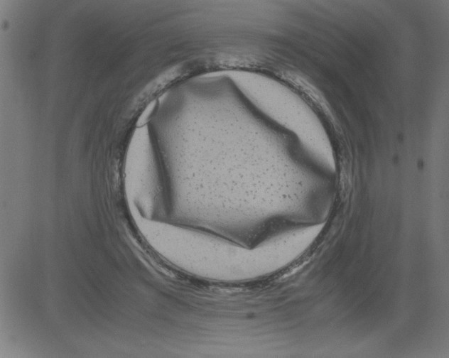 X0000081450401200702092255