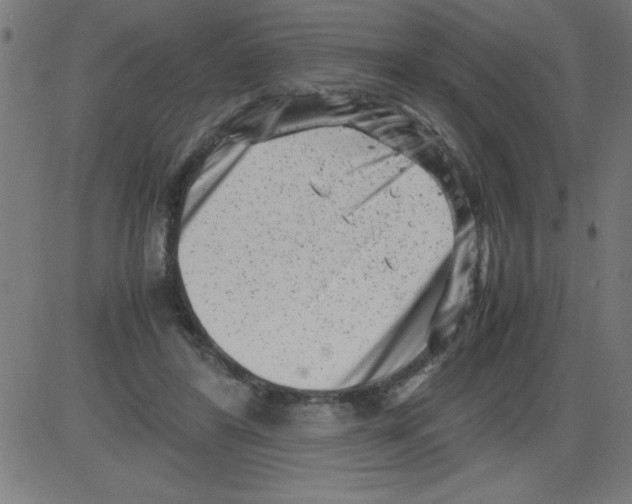 X0000081450404200702092255