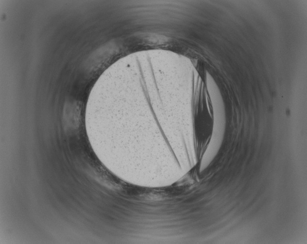 X0000081450412200702092255