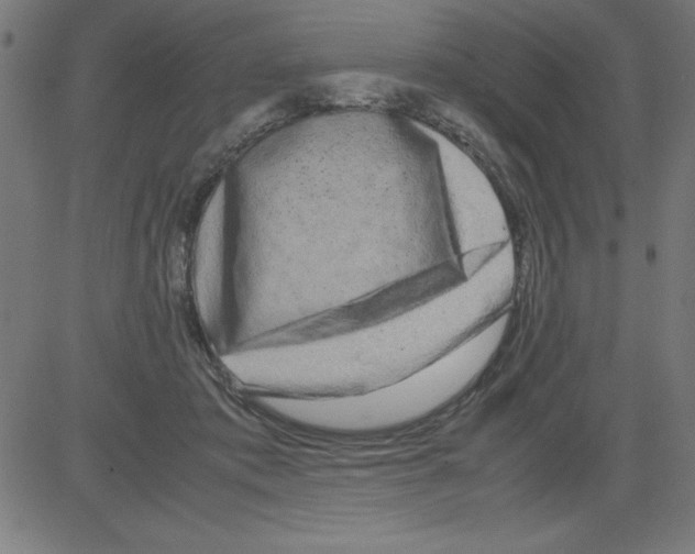 X0000081450413200702092255