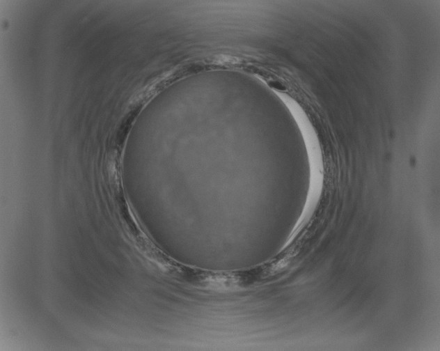 X0000081450415200702092254