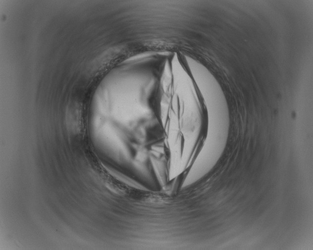 X0000081450416200702092254