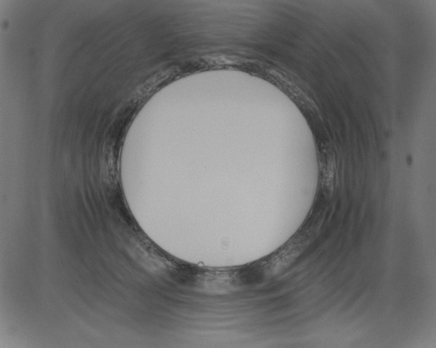 X0000081450418200702092254