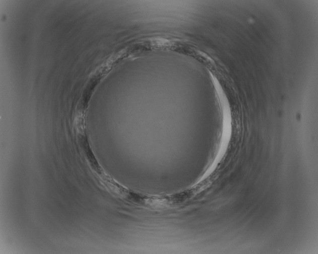 X0000081450419200702092254