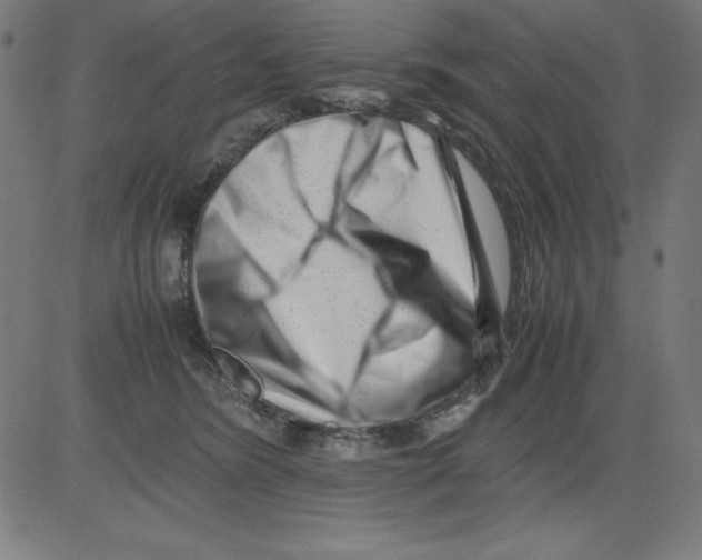 X0000081450420200702092254