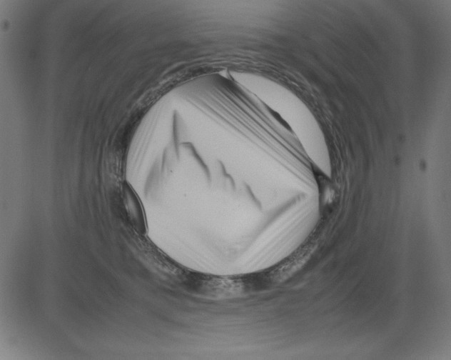 X0000081450421200702092254